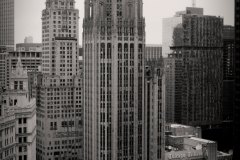 tribune building