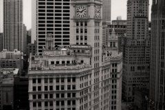 wrigley building