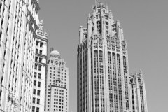 tribune building