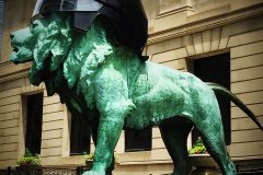 art institute lion blackhawks helmet
