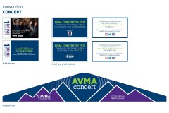 concert items