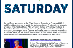 digital banner