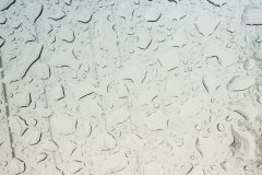 rain drops