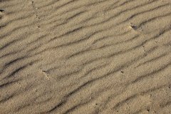 sand lines