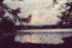 rain on window