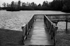 bridge in park