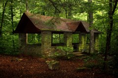 green building in forest