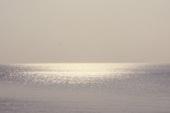 silver sun and lake