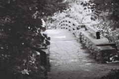 bridge in starved rock state park