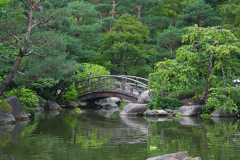 bridge over pond rockford japanese gardens