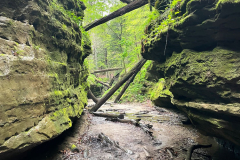 canyon in turkey run state park