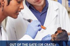 brochure cover